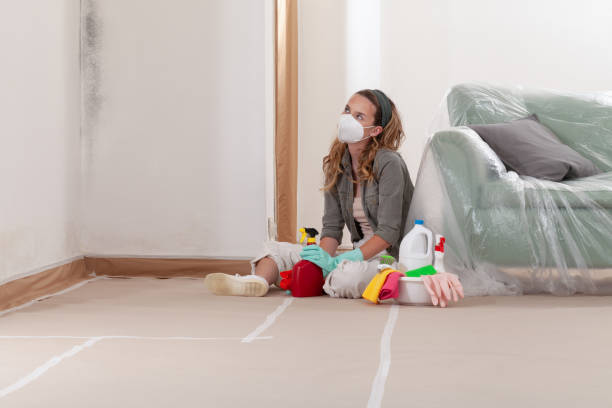 Reliable Mold Remediation contractor in Auburn, GA by 24 Hour Mold Removal